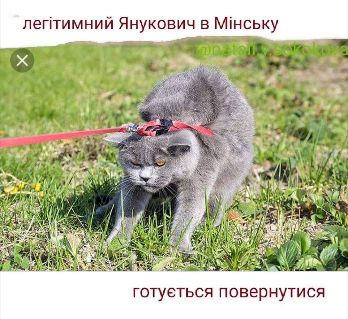 Новини Вінниці - фото з Щоб не плакати, ми сміялись: добірка мемів для підтримки бойового настрою