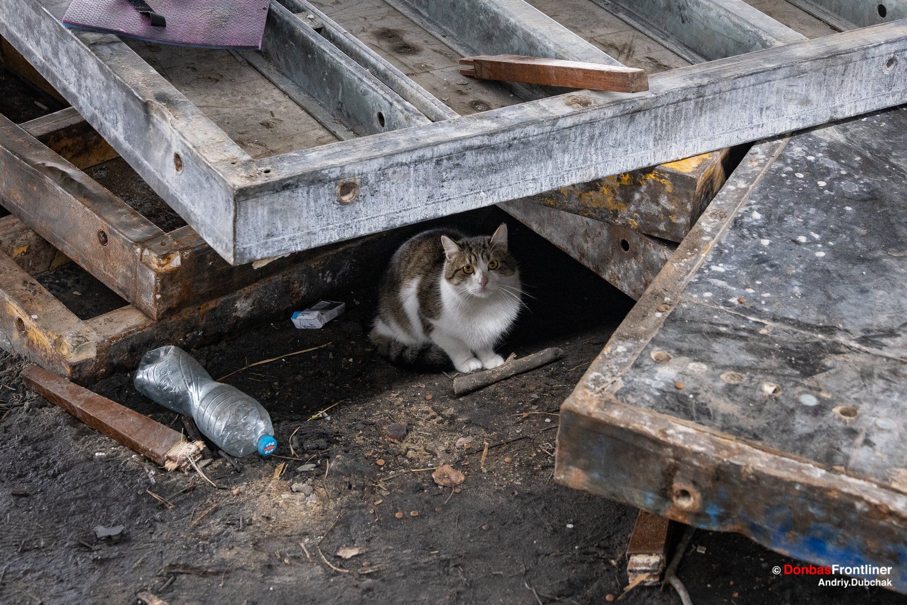 Новини Вінниці - фото з Звільнені Ірпінь та Буча, військові, діти і мертві люди: війна крізь об'єктив фотокора-вінничанина
