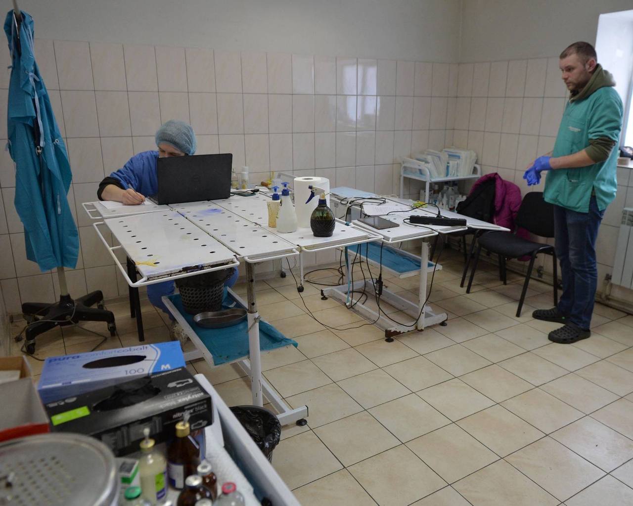 Новини Житомира - фото з Мер міста показав як працює житомирський Центр захисту тварин під час війни