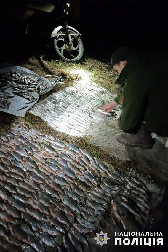 Новини Хмельницького - фото з На Хмельниччині спіймали браконьєрів, які наловили риби на 820 тисяч гривень