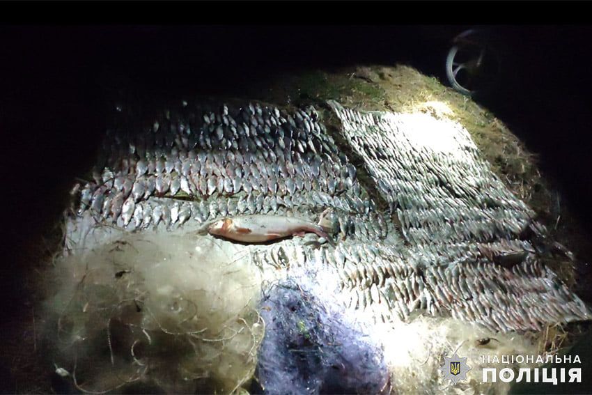 Новини Хмельницького - фото з На Хмельниччині спіймали браконьєрів, які наловили риби на 820 тисяч гривень