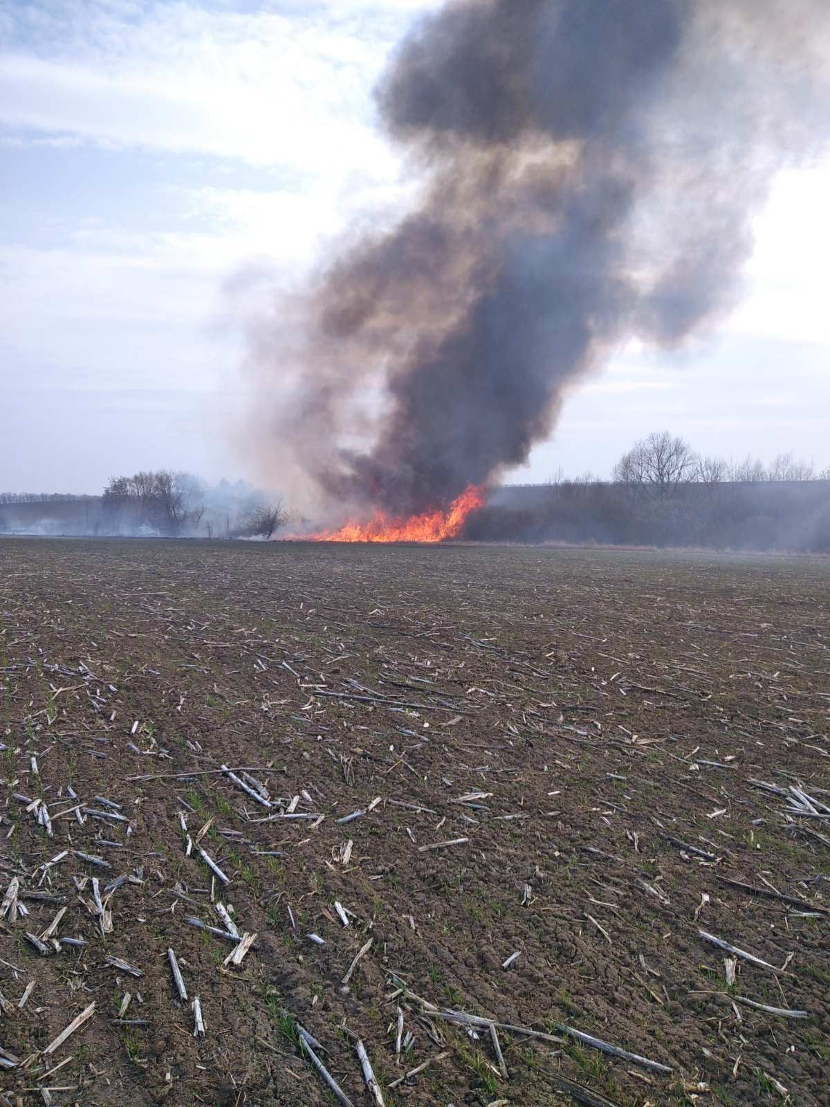 Новини Вінниці - фото з Понад 120 тисяч гривень — на таку суму оштрафували вінничан за паління трави