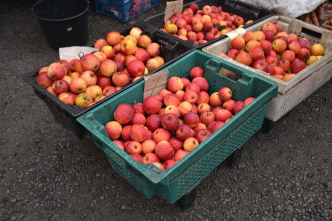 Новини Хмельницького - фото з Мед за 150 гривень і сало за 100 : що продають на ярмарку в Хмельницькому