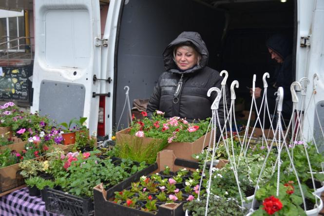 Новини Хмельницького - фото з Мед за 150 гривень і сало за 100 : що продають на ярмарку в Хмельницькому