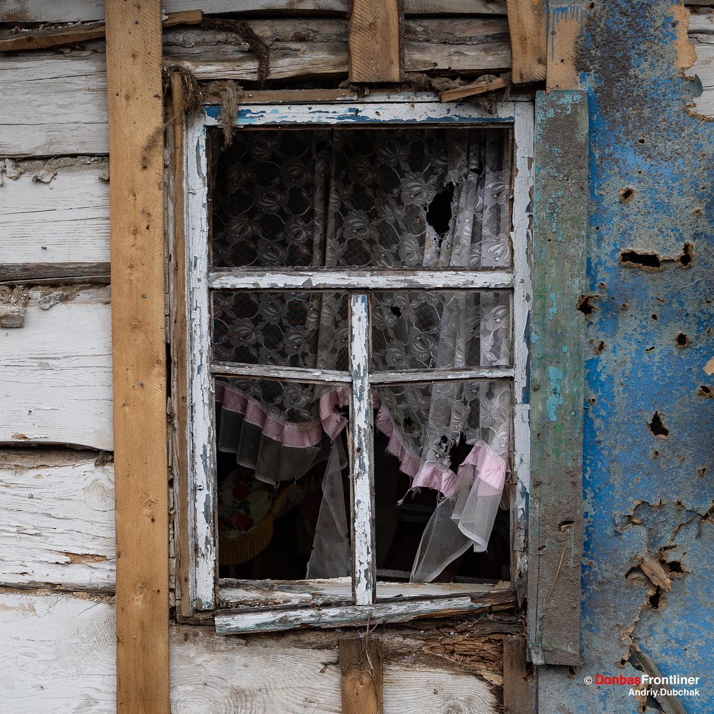 Новини Вінниці - фото з Рятувальники, сльози місцевих і кіт: кілька фото з Бородянки від вінницького фотокора