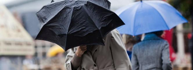 Новини Вінниці - фото з Затримання тік-токера, виявлення «колаборанта» та інше важливе за 9 квітня на 20minut.ua В Україні ускладниться погода. Наскільки до нас повернулися морози та мокрий сніг?