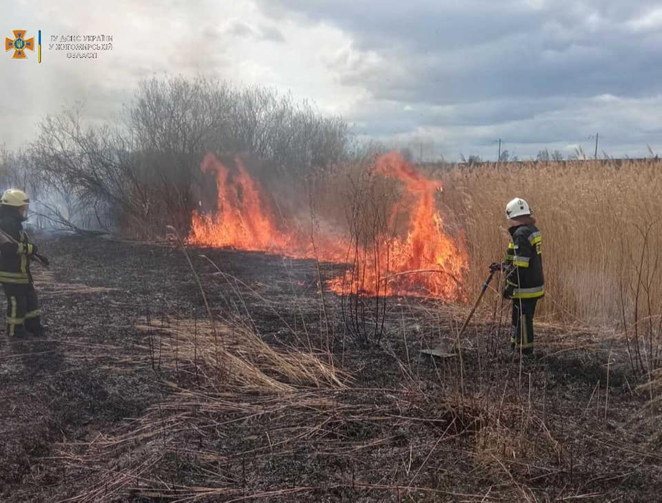 Новини Житомира - фото з На Житомирщині за добу тушили п'ять загорянь через селян, які підпалювали суху траву