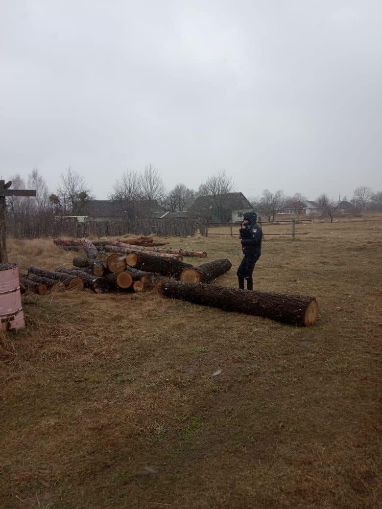 Новини Житомира - фото з Неподалік Денишів виявили незаконну порубку дерев