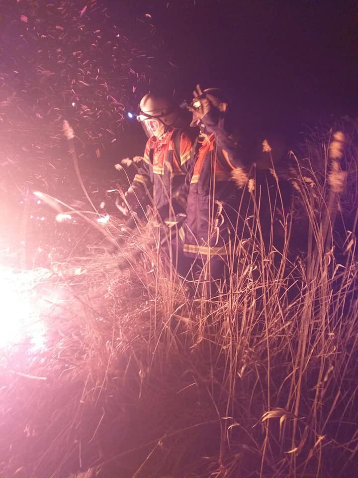 Новини Житомира - фото з Минулої доби на Житомирщині виникло понад пів сотні пожеж, вогнем пройдено 102 гектари землі