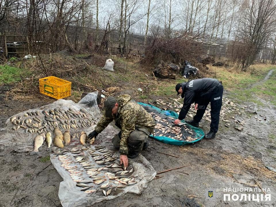Новини Хмельницького - фото з На Хмельниччині браконьєри з електровудкою завдали збитків рибному господарству на півтора мільйона гривень (ФОТО)