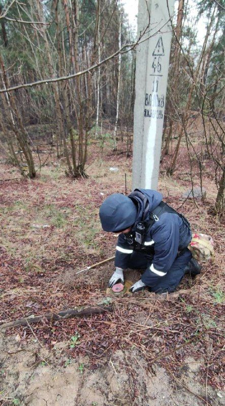 Новини Житомира - фото з У північних районах області продовжують знешкоджувати вибухонебезпечні предмети - "Урагани", міни і розтяжки