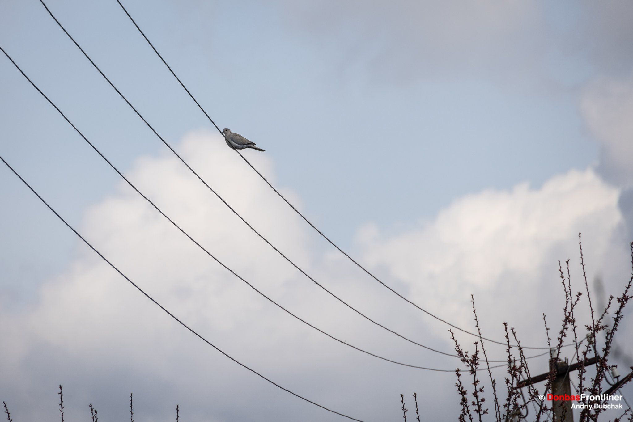 Новини Вінниці - фото з Як Запоріжжя живе і воює — показав репортер з Калинівки