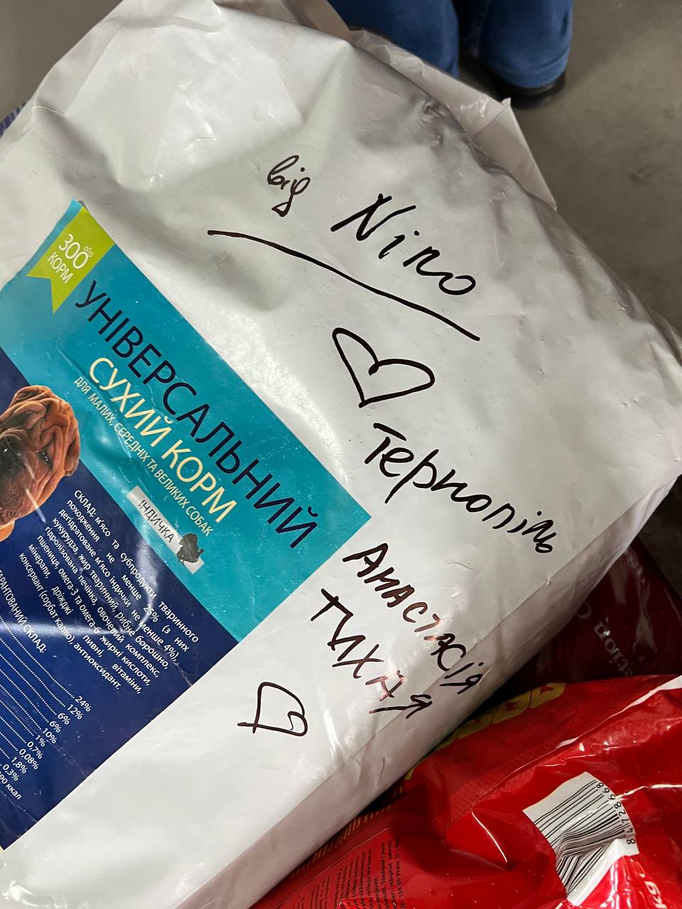 Новини Тернополя - фото з «Вдячна усім, хто зараз зі мною поруч!» Інтерв’ю зі знаменитою хореографинею Ніно з Тернополя (ЕКСКЛЮЗИВ)