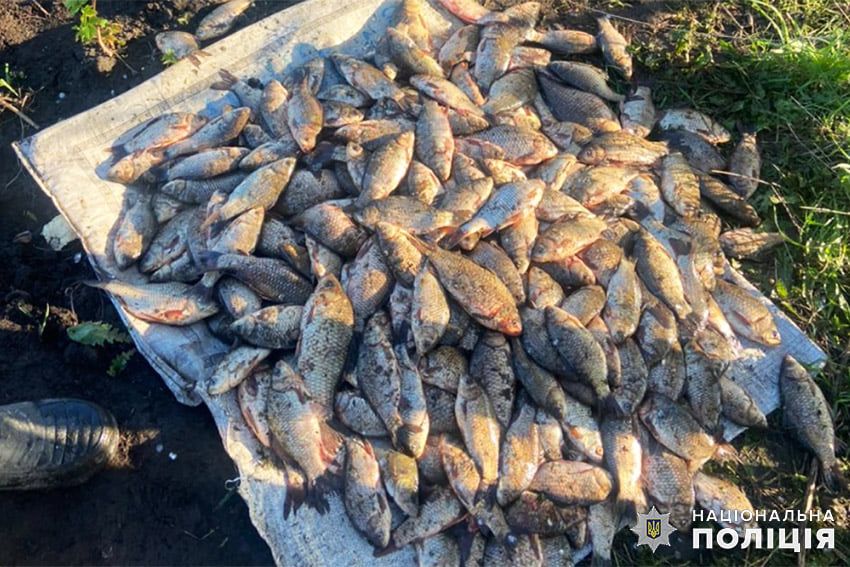 Новини Хмельницького - фото з На Хмельниччині браконьєр наловив риби на 350 тисяч (ФОТО)