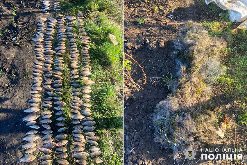 Новини Хмельницького - фото з На Хмельниччині браконьєр наловив риби на 350 тисяч (ФОТО)