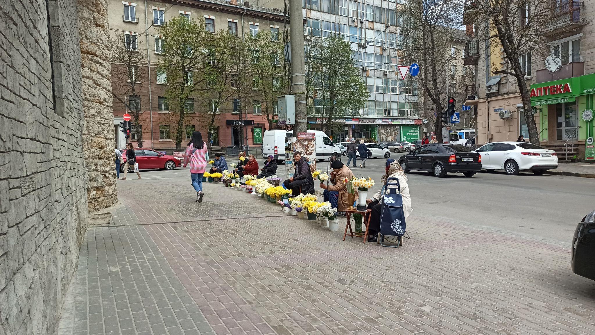 Новини Тернополя - фото з Розмаїття барв у центрі міста: які квіти можна купити на вулиці? (ФОТО ДНЯ)