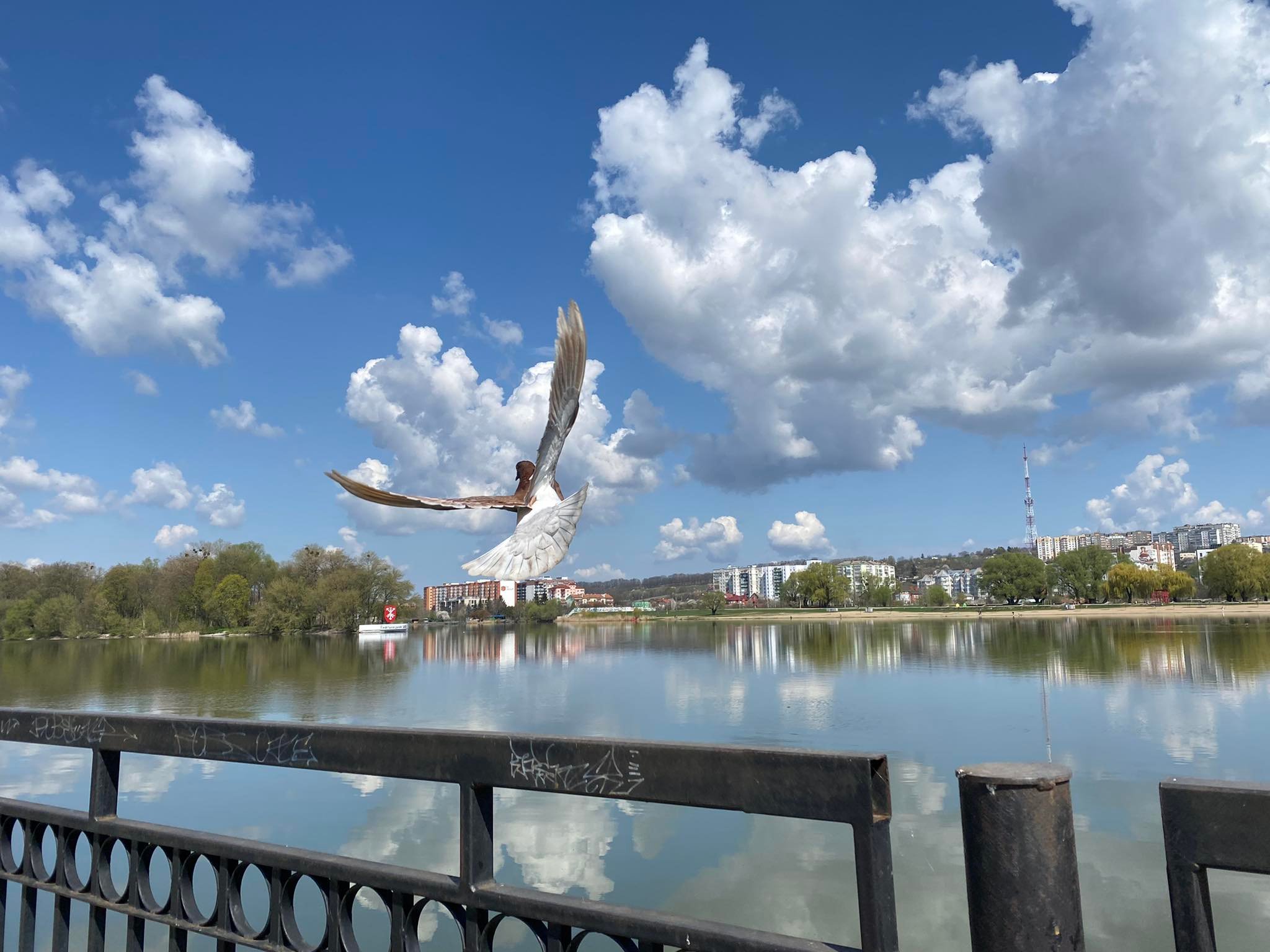 Нет описания.