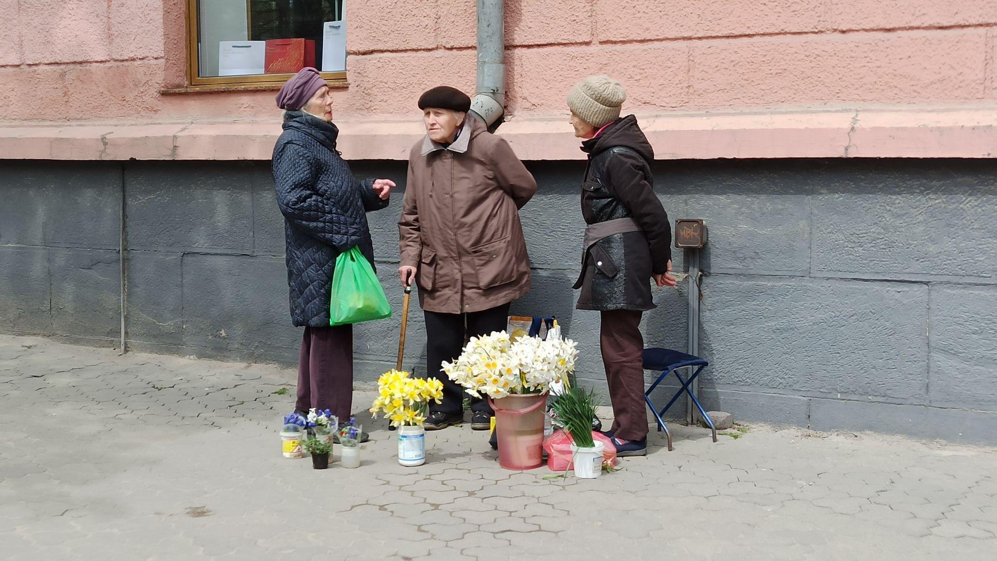 Новини Тернополя - фото з Розмаїття барв у центрі міста: які квіти можна купити на вулиці? (ФОТО ДНЯ)