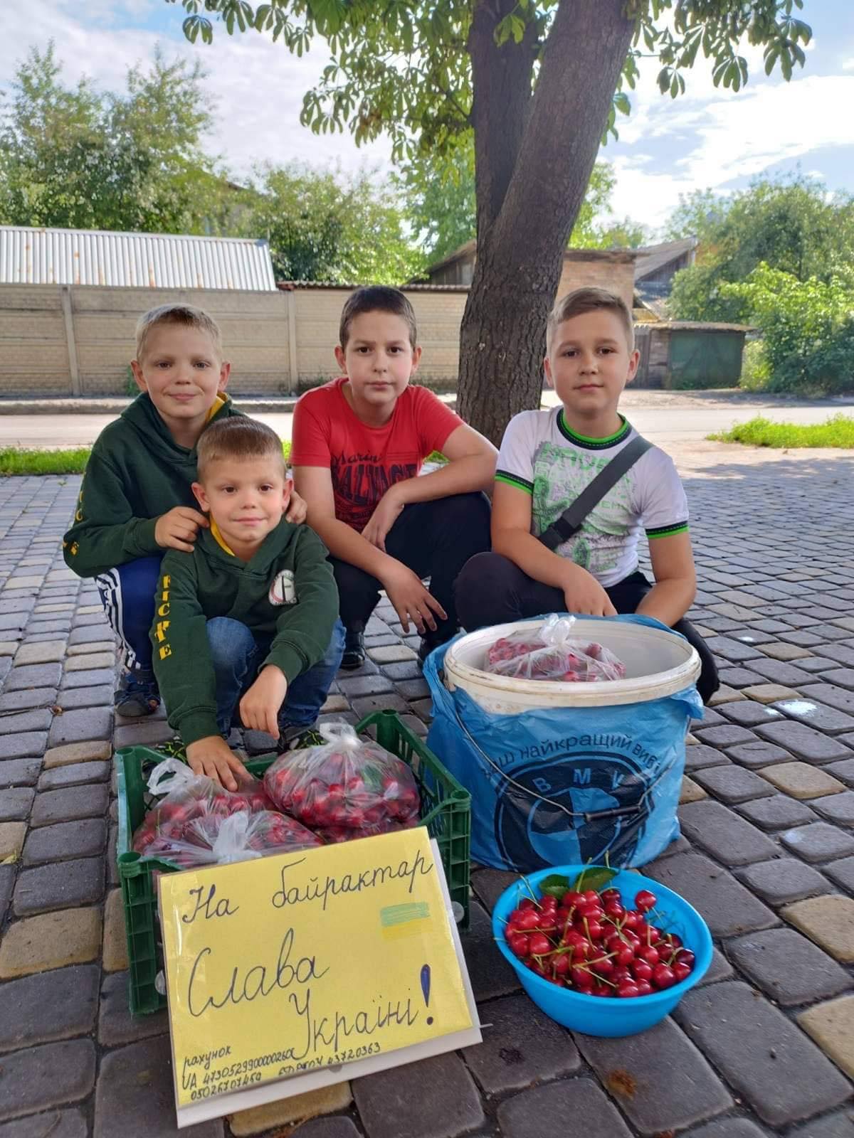 Новини Вінниці - фото з «Щоб росія не вбивала наших дітей». Маленькі вінничани продають черешню, кошти передають на байрактар
