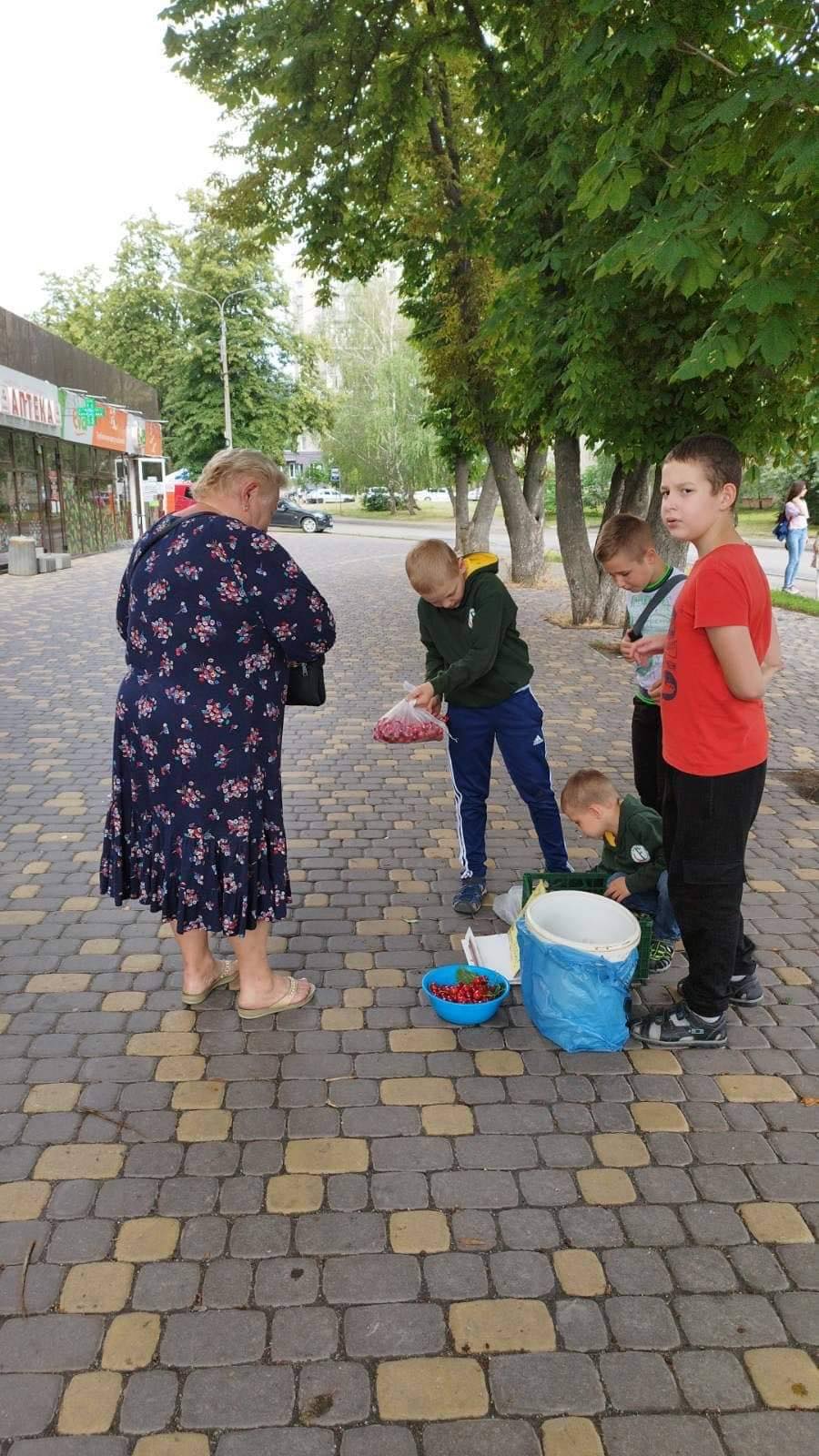 Новини Вінниці - фото з «Щоб росія не вбивала наших дітей». Маленькі вінничани продають черешню, кошти передають на байрактар