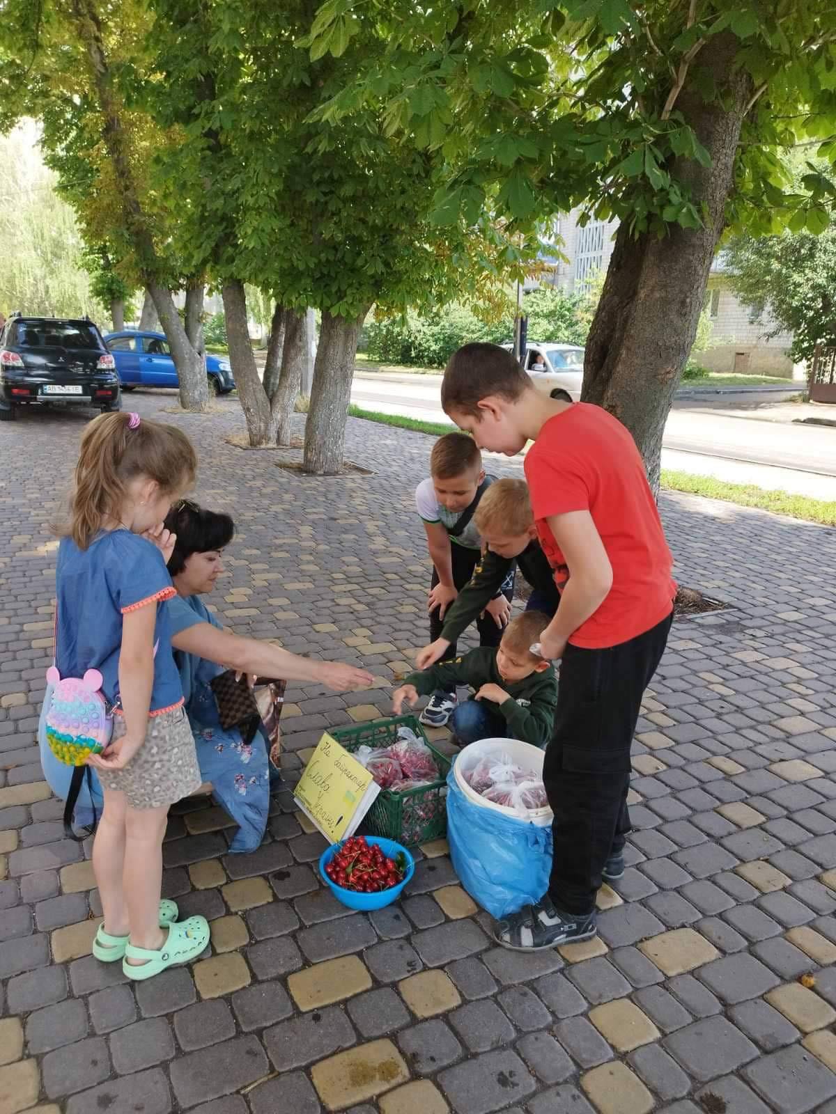 Новини Вінниці - фото з «Щоб росія не вбивала наших дітей». Маленькі вінничани продають черешню, кошти передають на байрактар
