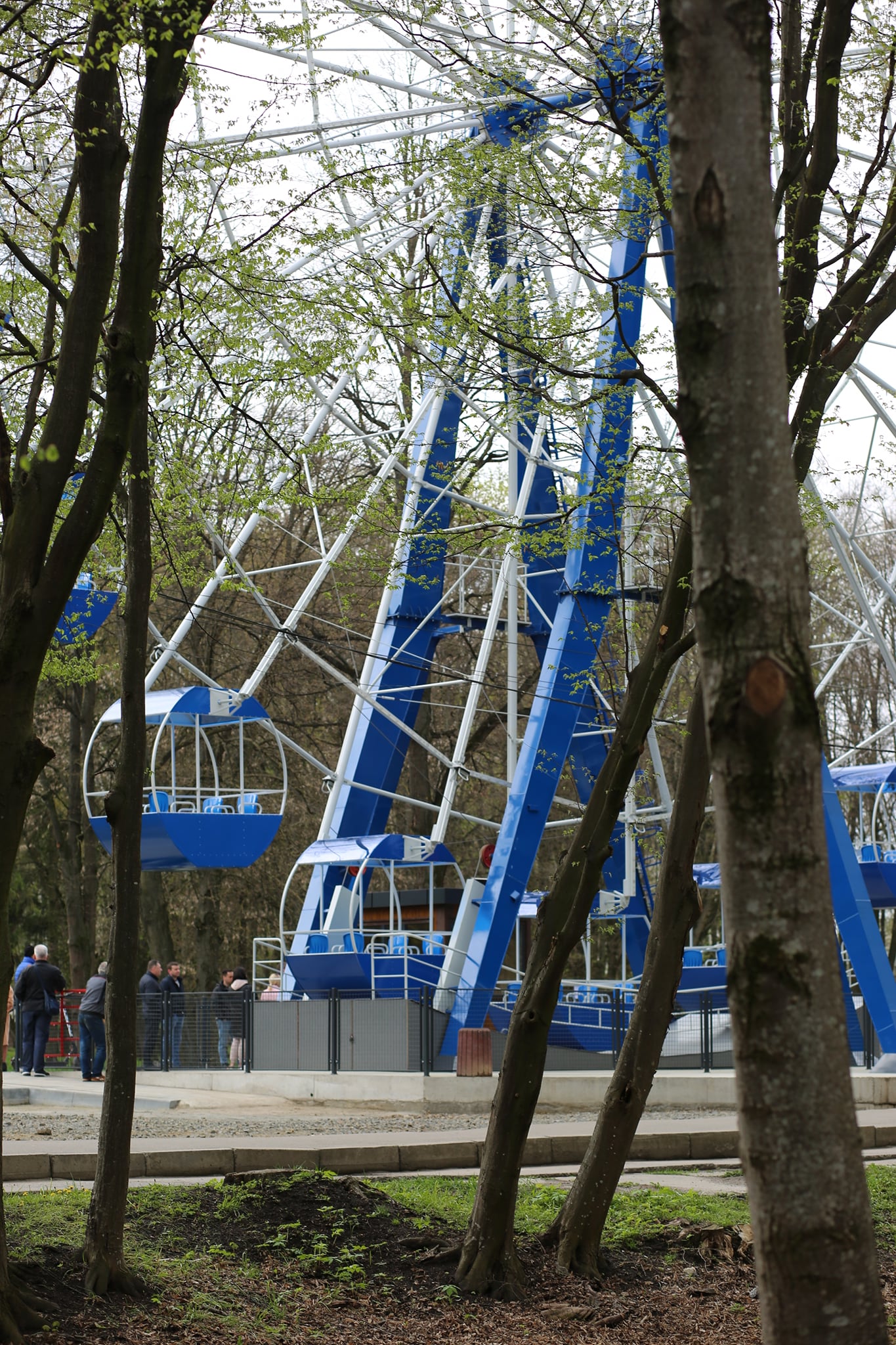 Возможно, это изображение 4 человека, дерево и на открытом воздухе
