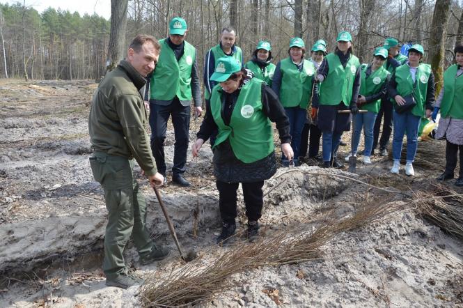Новини Хмельницького - фото з У рамках програми Зеленського на Хмельниччині висадили 2 мільйони дерев