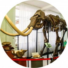 Новини Вінниці - фото з Тренінги, кіно, звіринці: що робити та куди можна піти у Вінниці в травні