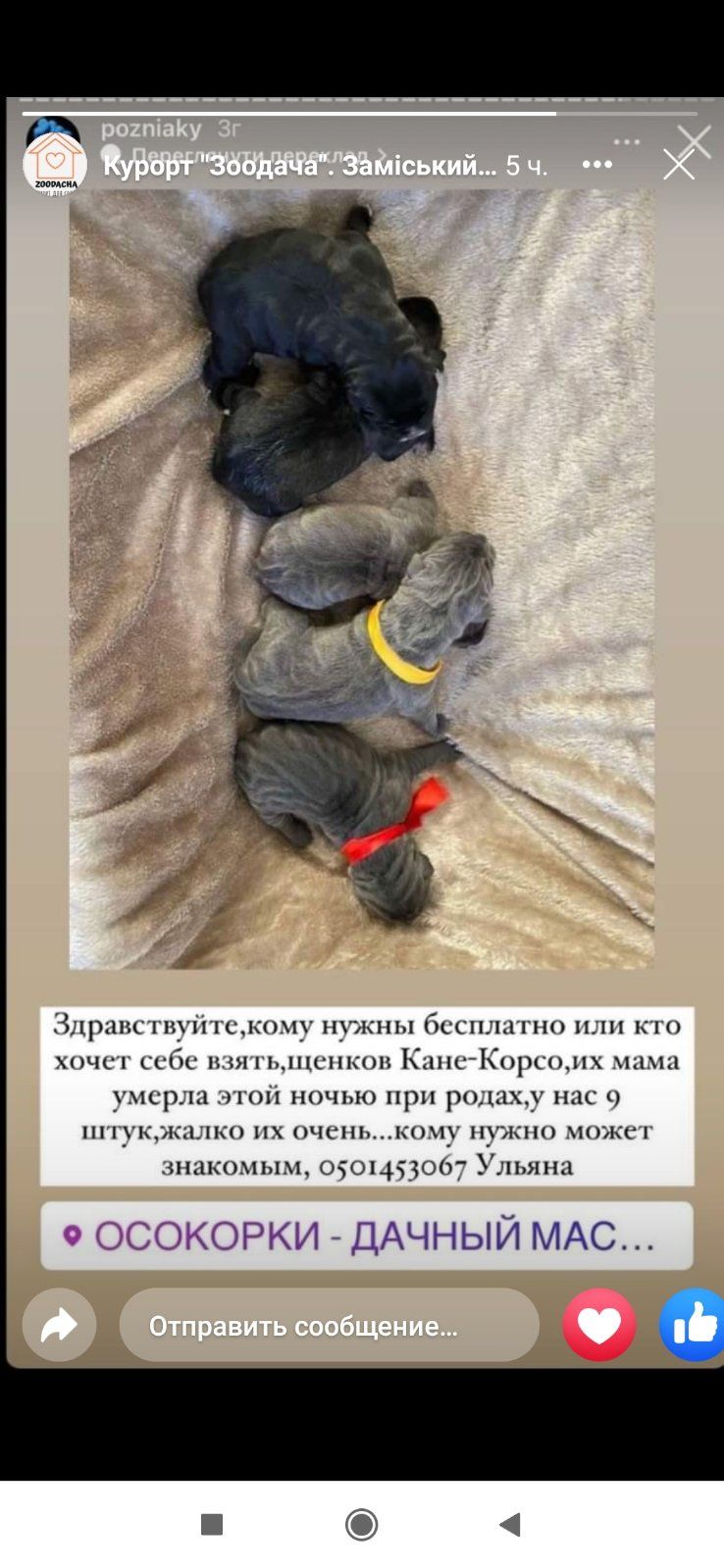 Новини Житомира - фото з Зайва інформація: що не варто поширювати в соцмережах