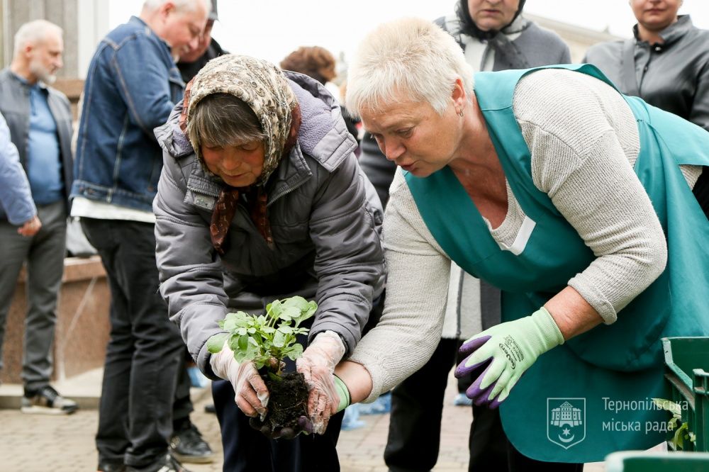 Новини Тернополя - фото з На центральній алеї міста висадили «Квітник матері». Як він виглядає (ФОТО)