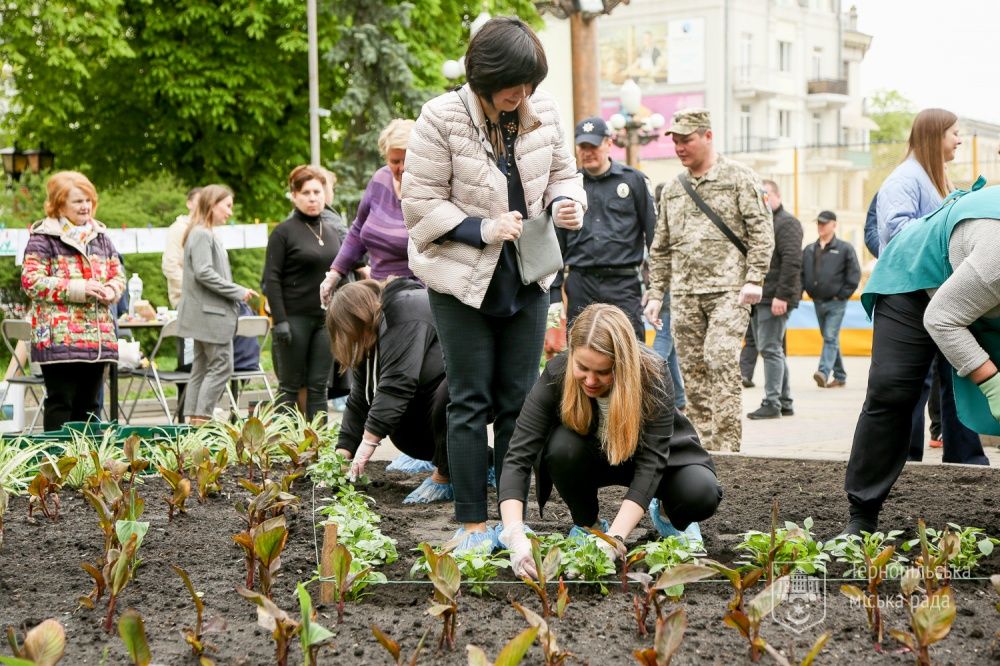 Новини Тернополя - фото з На центральній алеї міста висадили «Квітник матері». Як він виглядає (ФОТО)