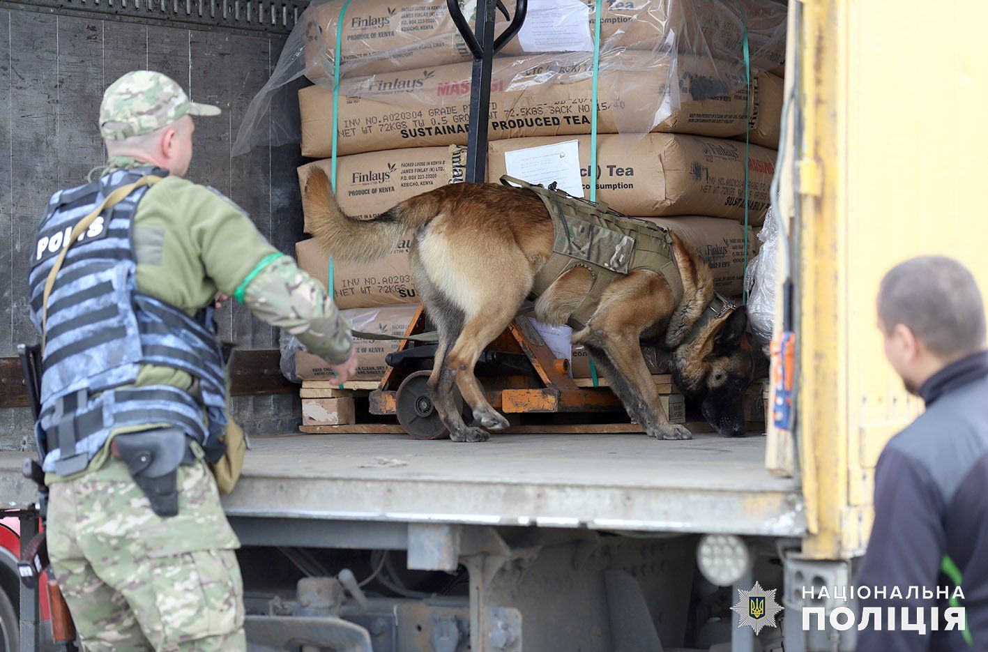 Новини Хмельницького - фото з Колеги Патрона: хмельницькі кінологи з чотирилапими працюють на Київщині