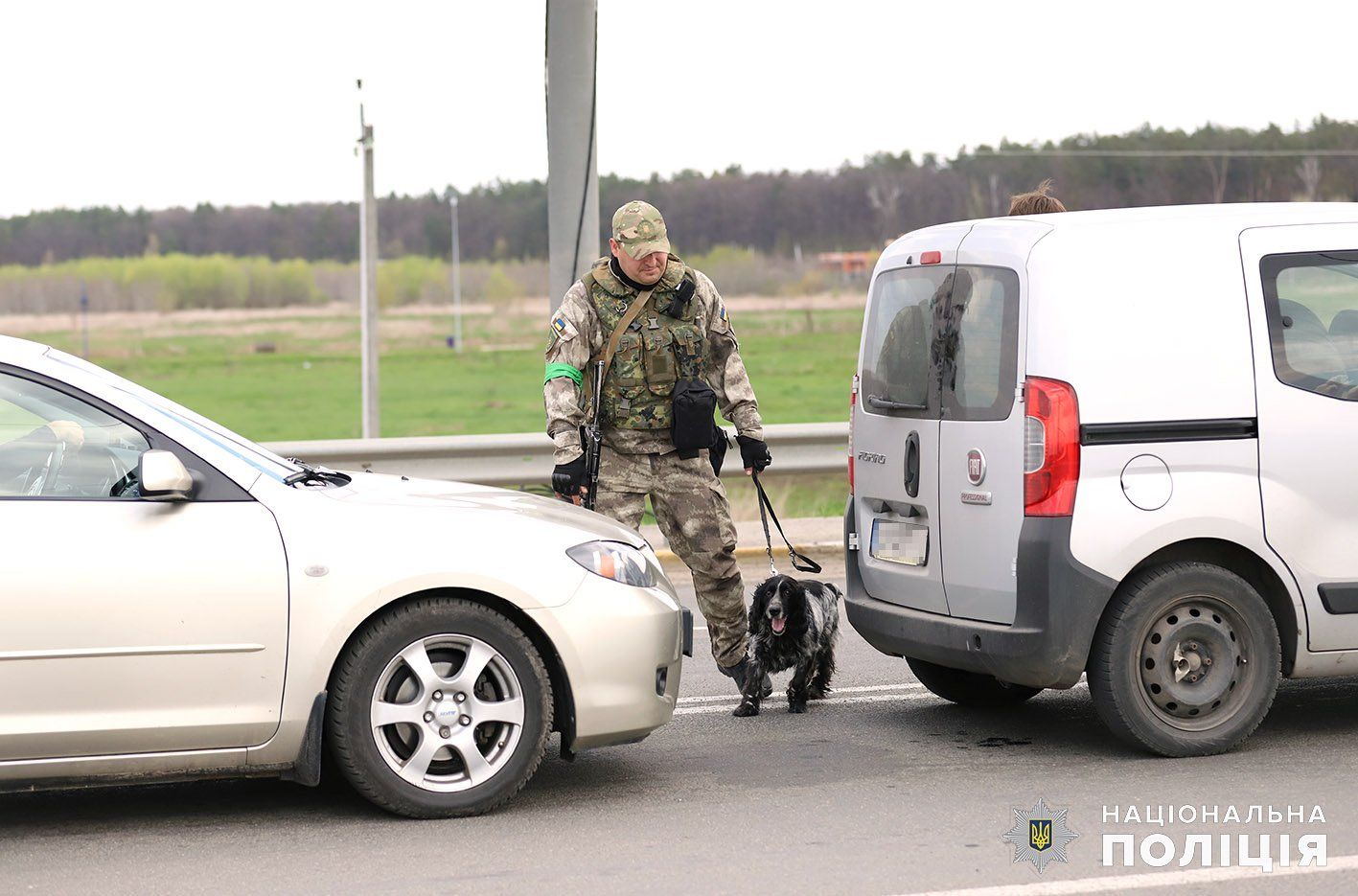 Новини Хмельницького - фото з Колеги Патрона: хмельницькі кінологи з чотирилапими працюють на Київщині