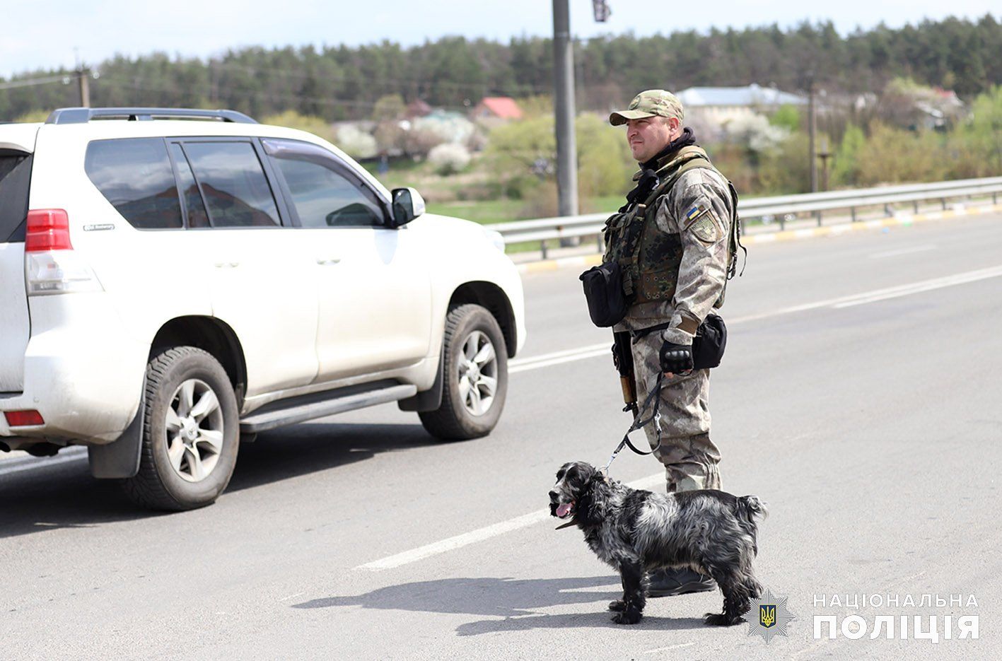 Новини Хмельницького - фото з Колеги Патрона: хмельницькі кінологи з чотирилапими працюють на Київщині