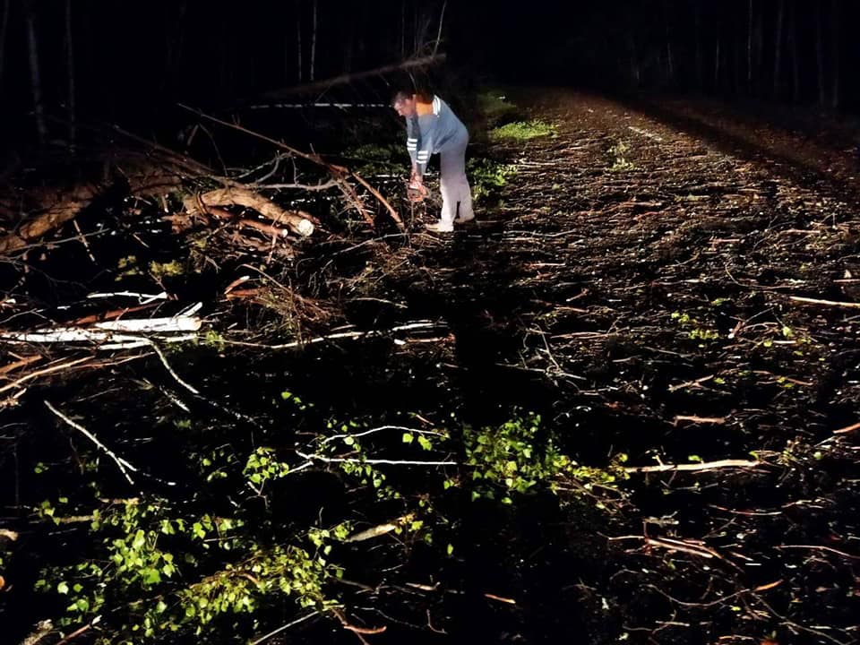Новини Житомира - фото з Минулої ночі дорожники прибрали з доріг десятки повалених буревієм дерев