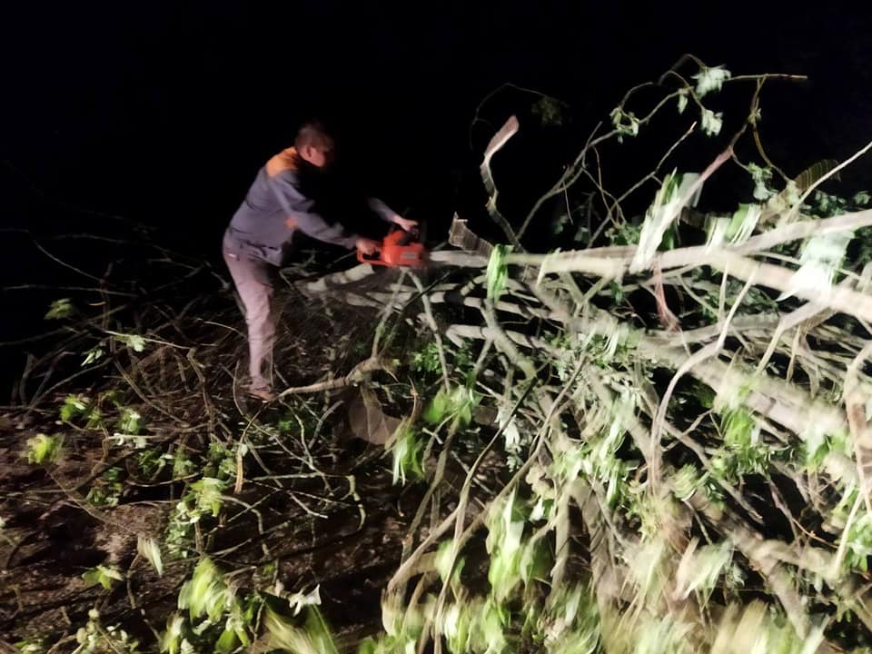 Новини Житомира - фото з Минулої ночі дорожники прибрали з доріг десятки повалених буревієм дерев