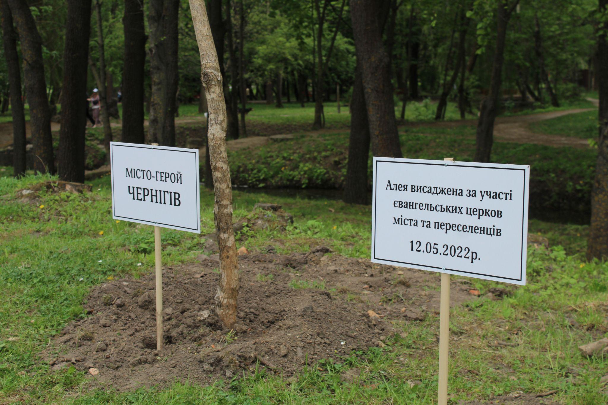 Новини Тернополя - фото з Фото дня: Як у Тернополі незвично вшанували українські міста-герої