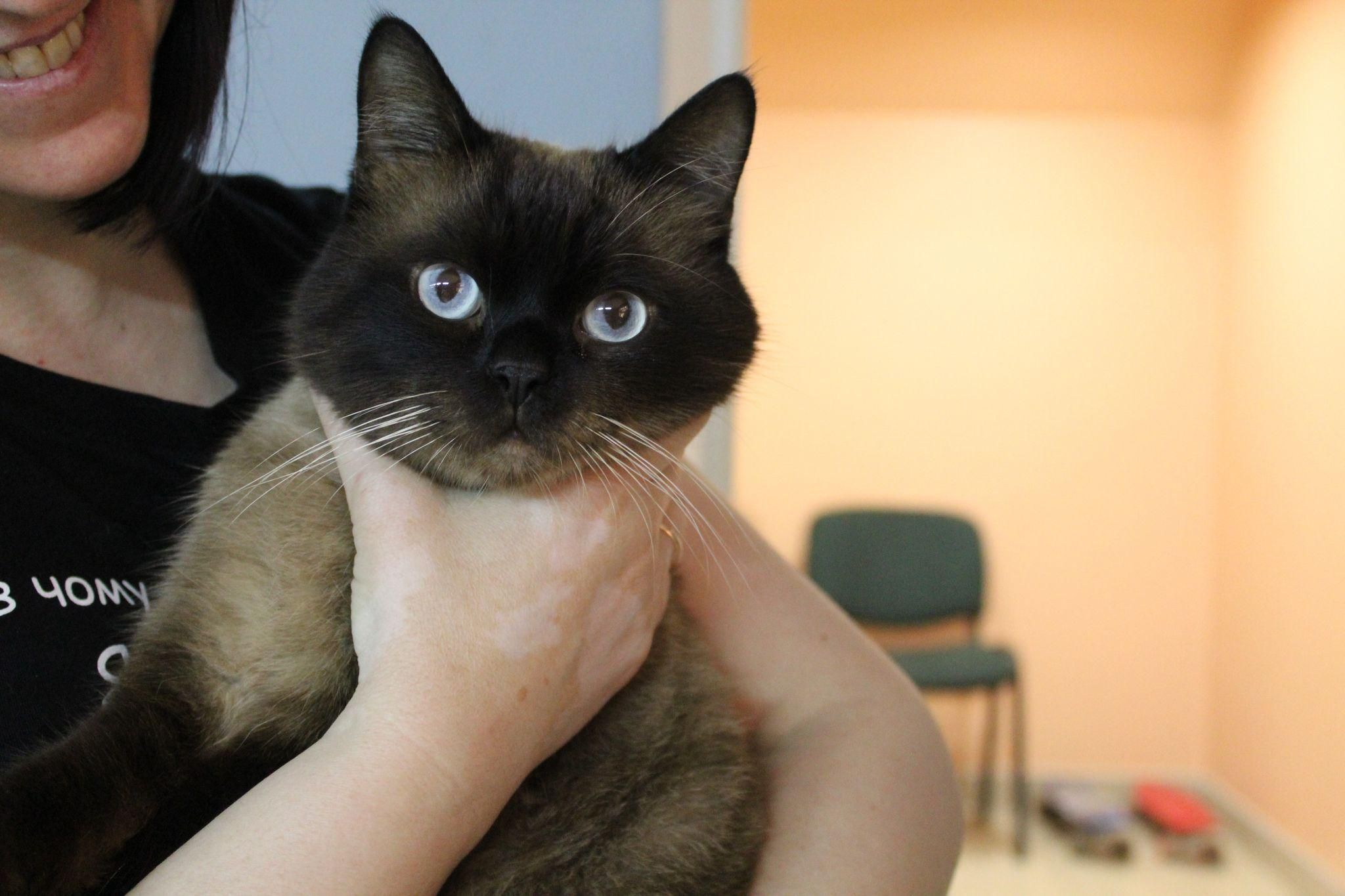 Новини Тернополя - фото з Стали великою дружньою родиною! Як школа №14 волонтерить у воєнний час (РЕПОРТАЖ)