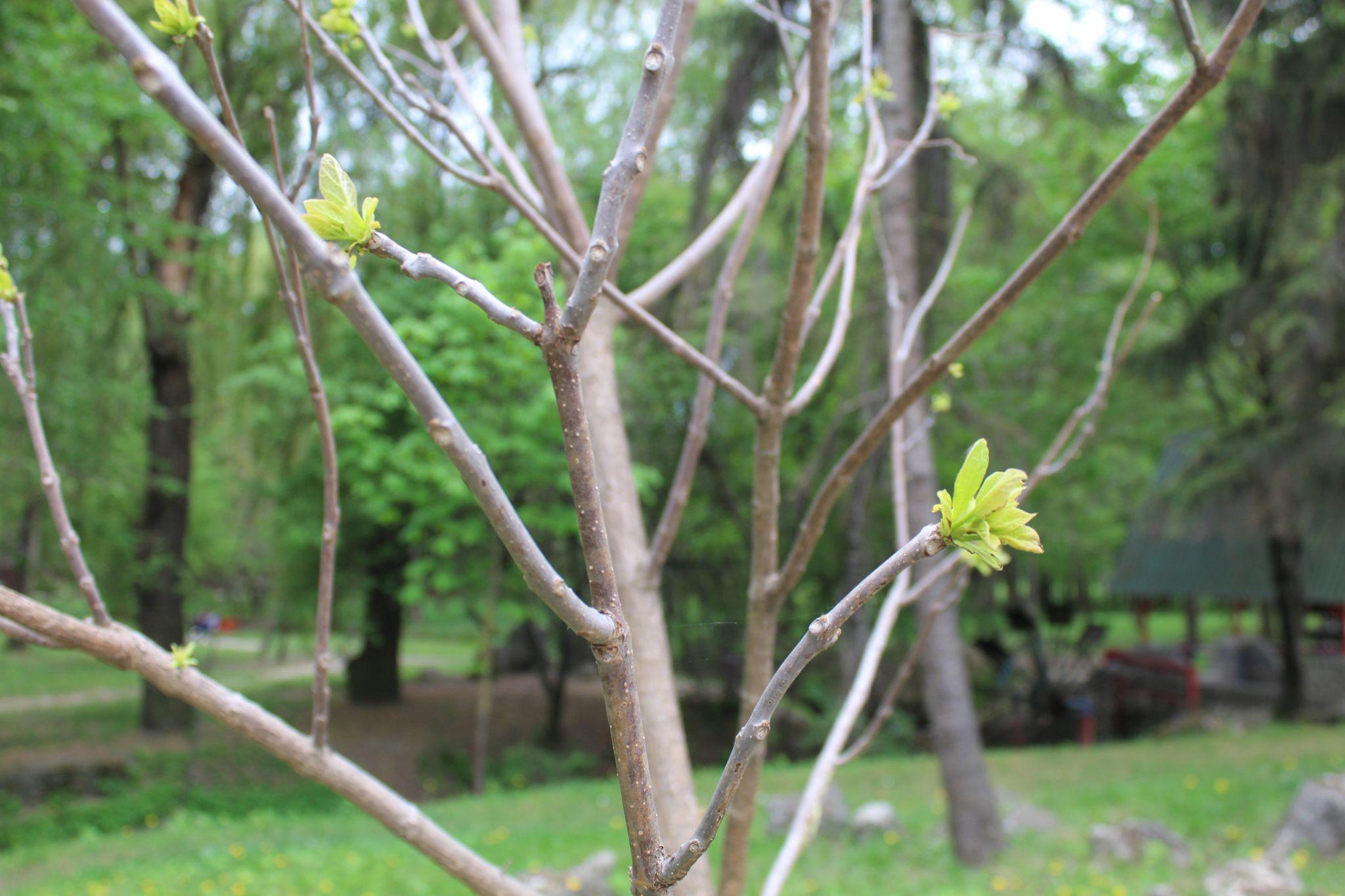 Новини Тернополя - фото з Фото дня: Як у Тернополі незвично вшанували українські міста-герої