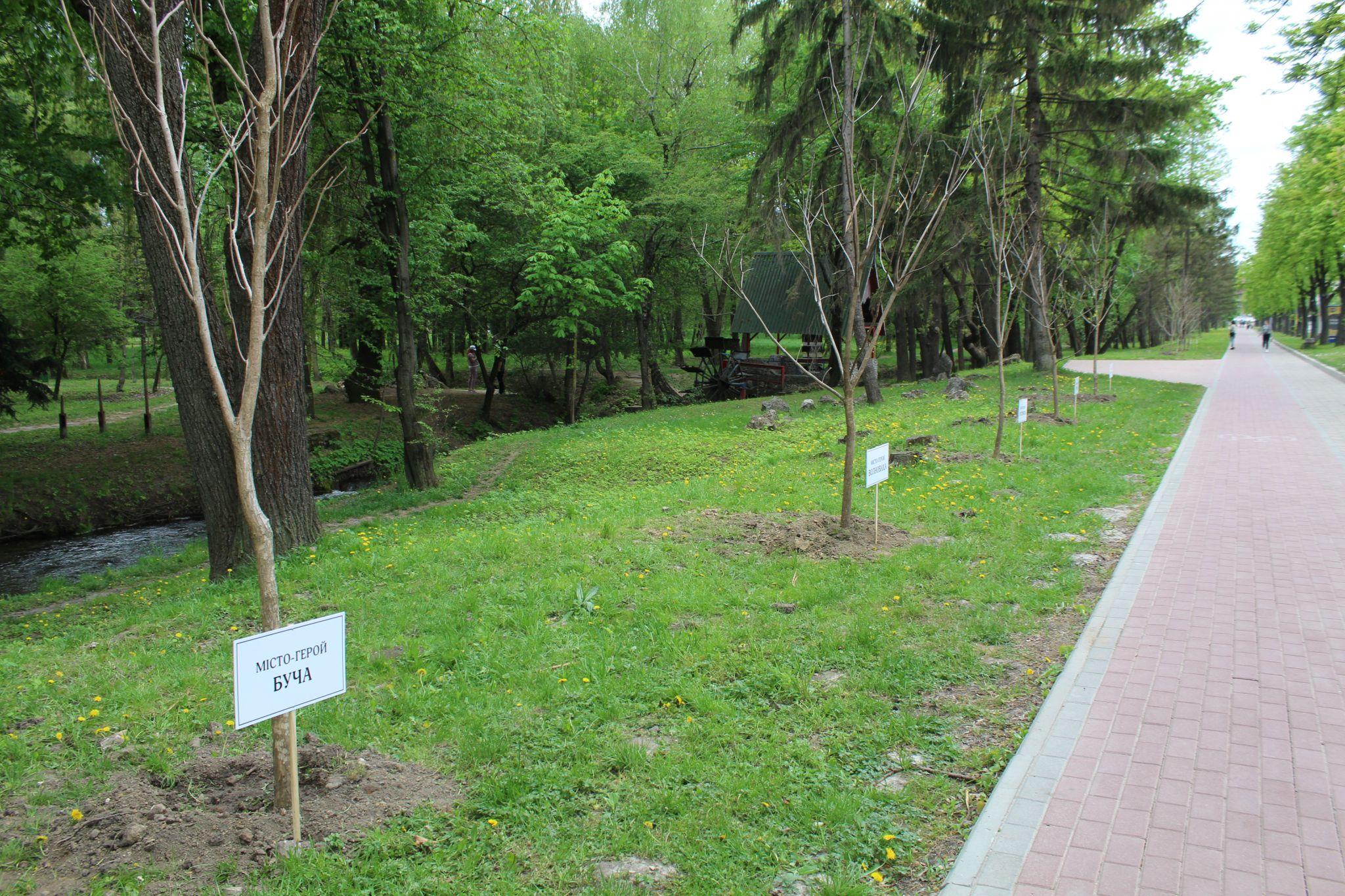 Новини Тернополя - фото з Фото дня: Як у Тернополі незвично вшанували українські міста-герої