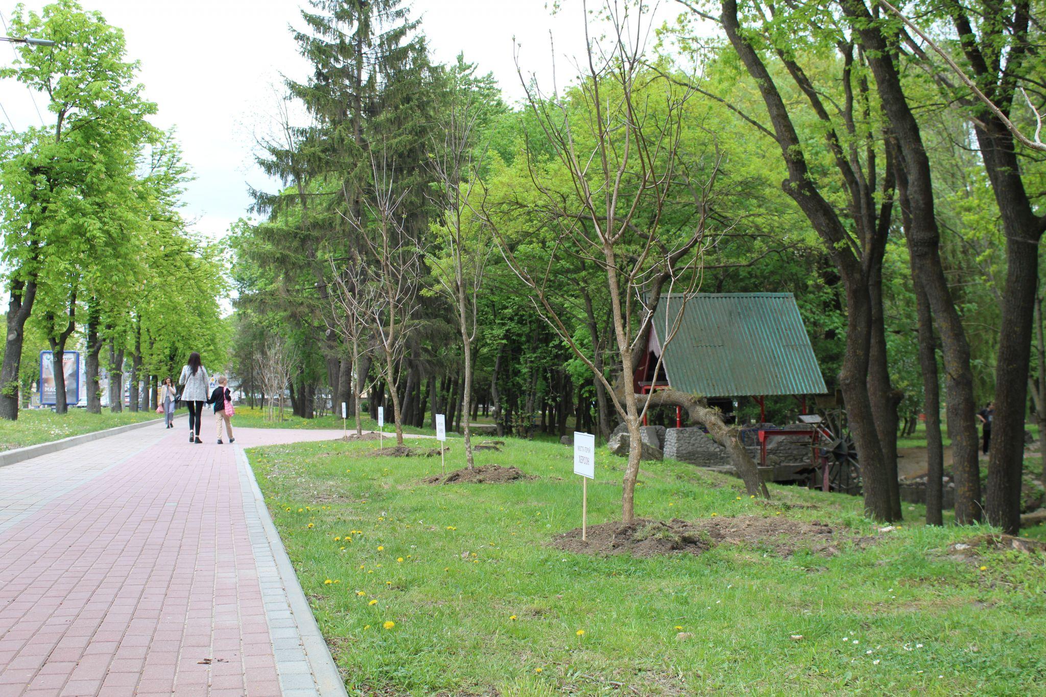 Новини Тернополя - фото з Фото дня: Як у Тернополі незвично вшанували українські міста-герої