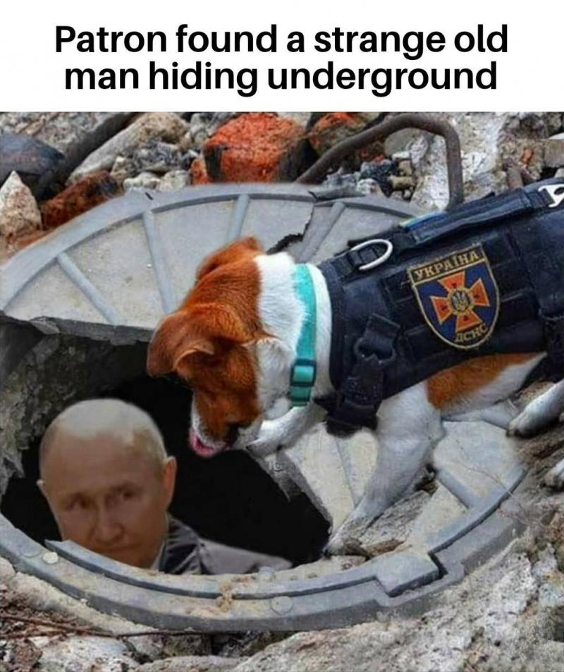 Новини Вінниці - фото з Щоб не плакати, ми сміялись: добірка нових мемів про війну