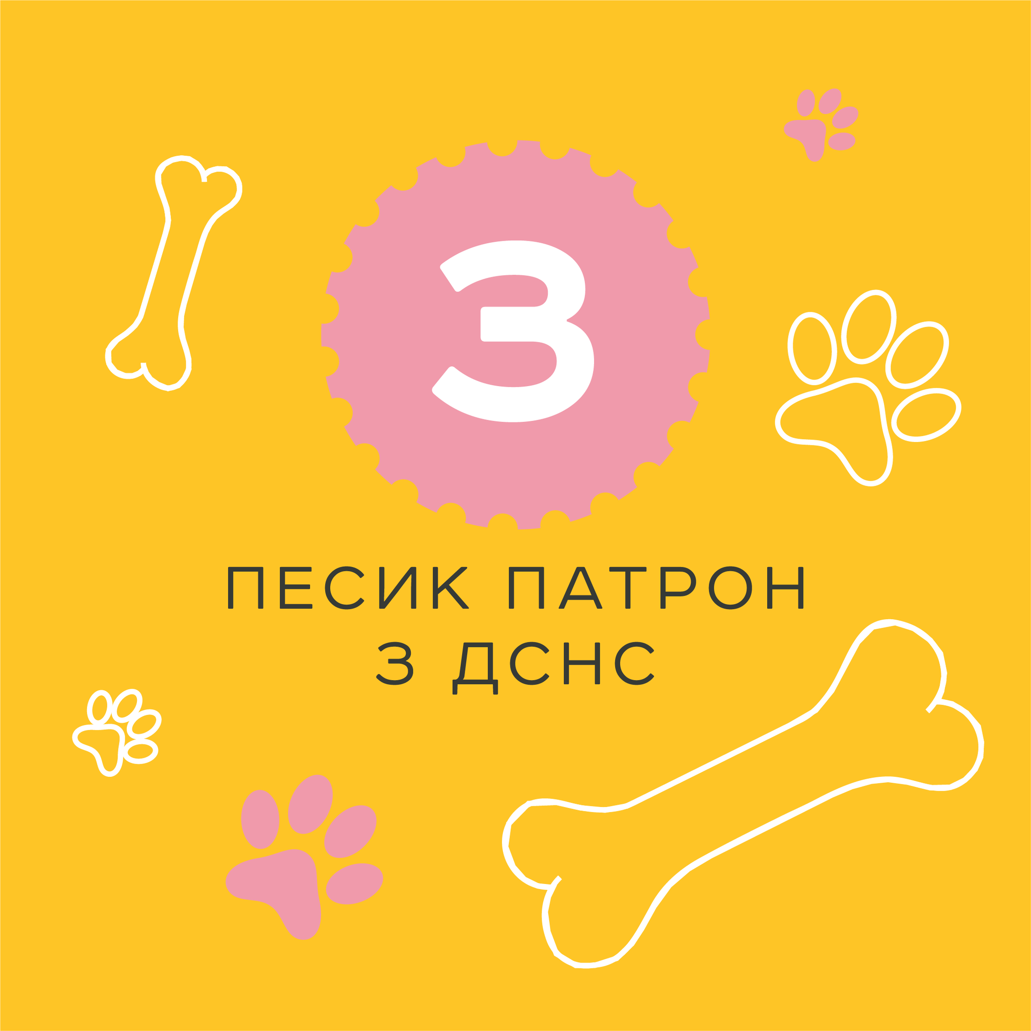 Новини Хмельницького - фото з Не кораблем єдиним: “Укрпошта” просить обрати нову воєнну марку (ОПИТУВАННЯ) Песик Патрон з ДСНС