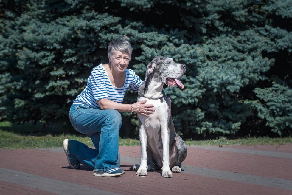 Новини Вінниці - фото з «Собака любить того, хто з ним гуляє» — кінолог для людей про собак