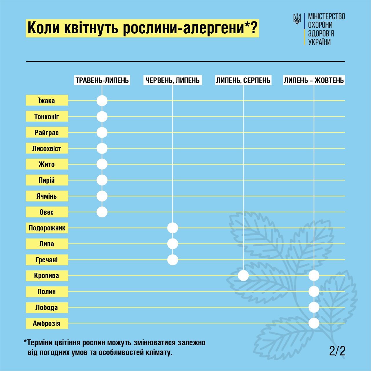 Новини Тернополя - фото з Сезонна алергія чи застуда: як відрізнити та полегшити свій стан