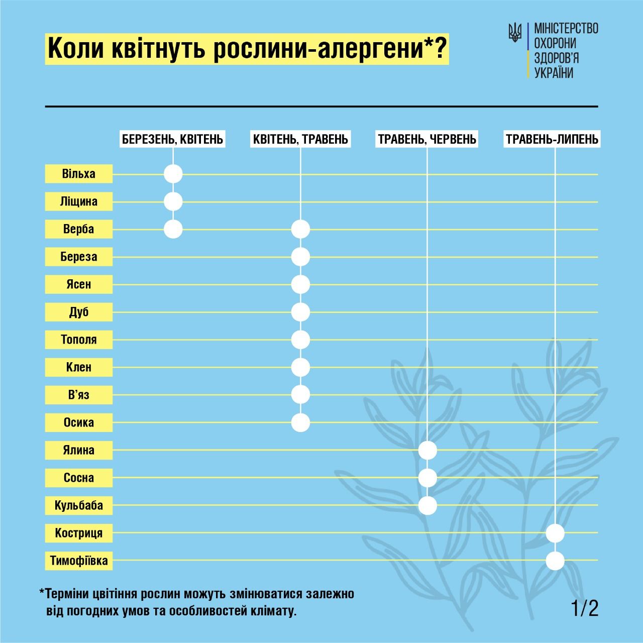 Новини Тернополя - фото з Сезонна алергія чи застуда: як відрізнити та полегшити свій стан