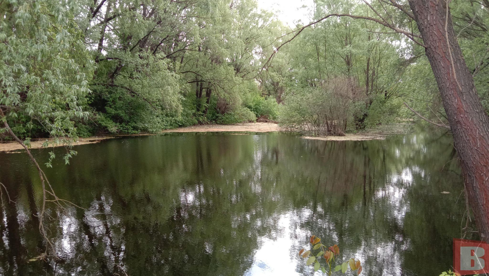 Новини Хмельницького - фото з Мешканці Гречан хочуть почистити ставок та створити сквер: як допомогти (ФОТО)