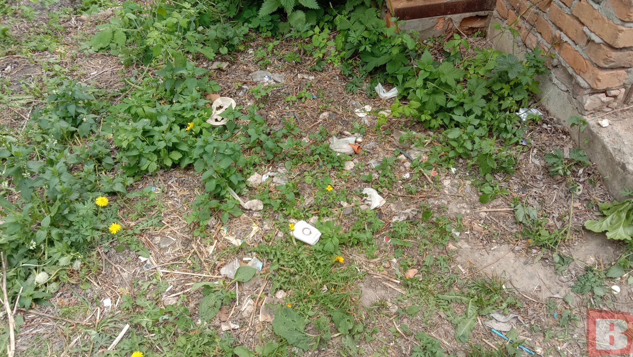 Новини Хмельницького - фото з Мешканці Гречан хочуть почистити ставок та створити сквер: як допомогти (ФОТО)