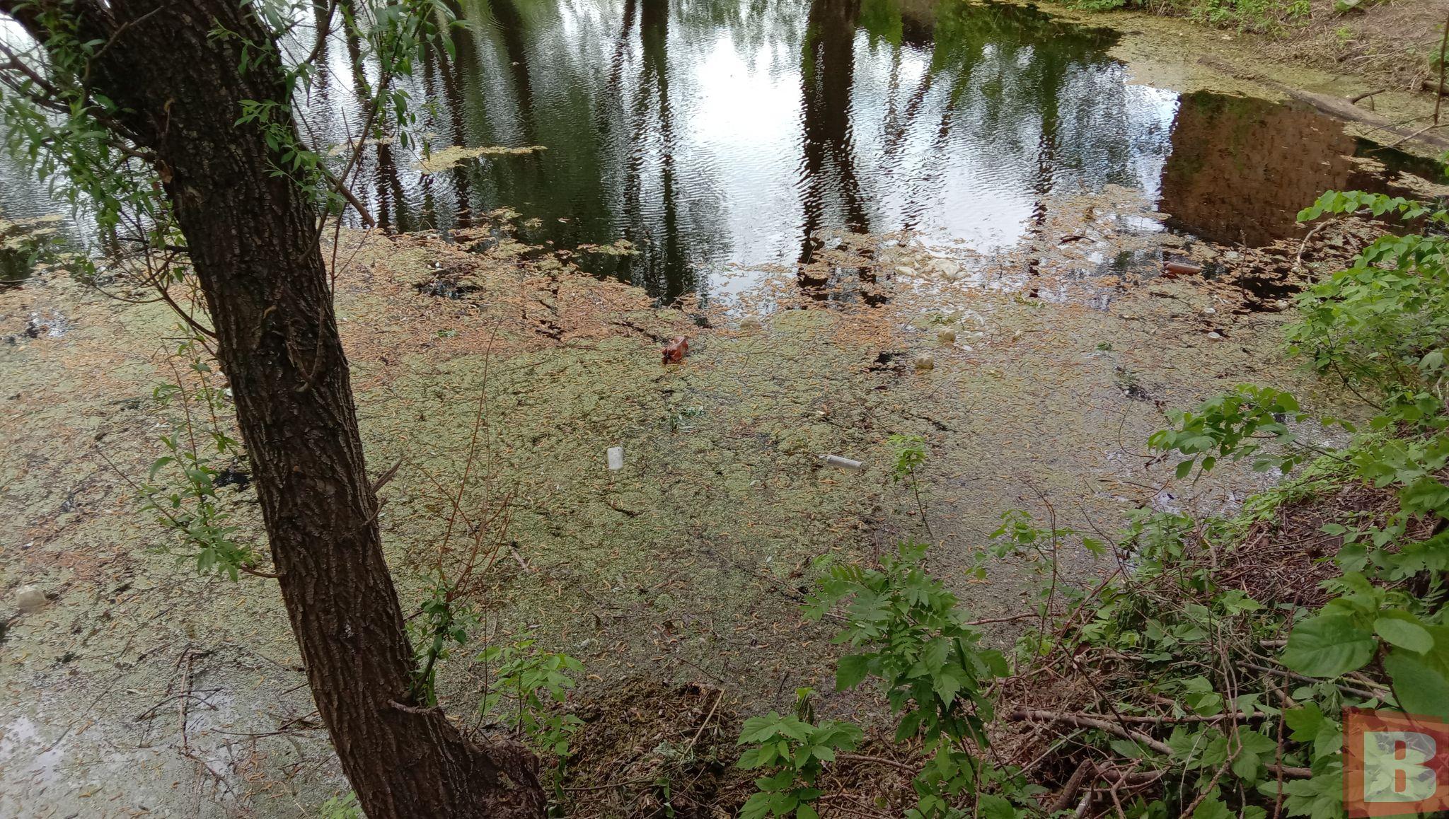 Новини Хмельницького - фото з Мешканці Гречан хочуть почистити ставок та створити сквер: як допомогти (ФОТО)