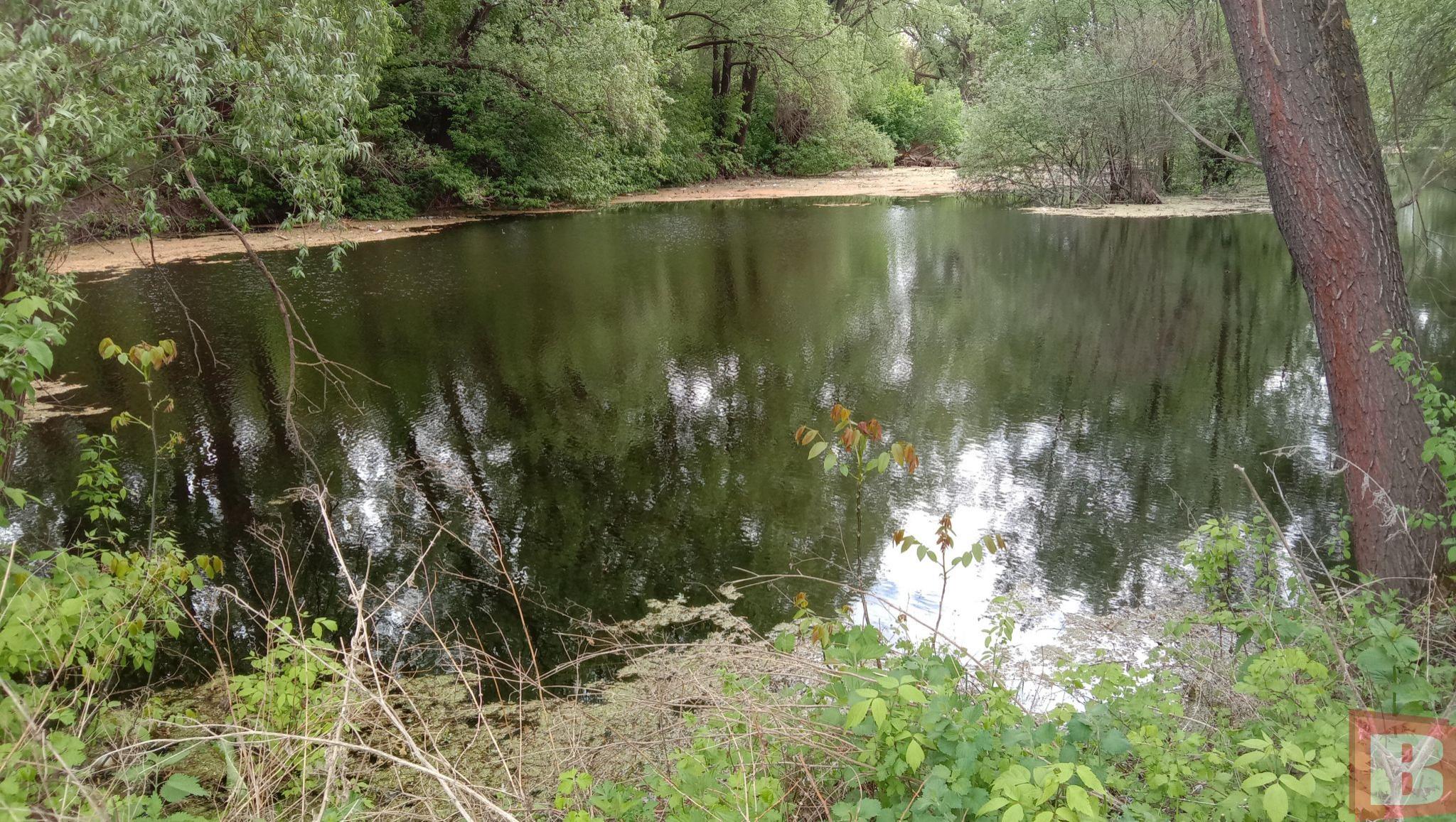 Новини Хмельницького - фото з Мешканці Гречан хочуть почистити ставок та створити сквер: як допомогти (ФОТО)
